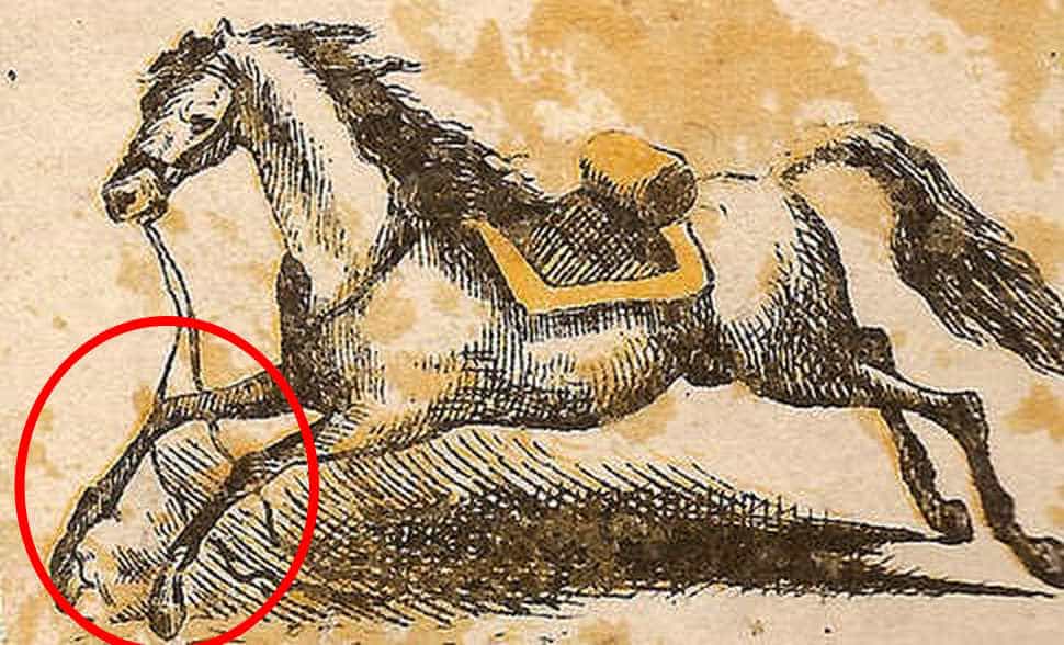 find horse rider solution